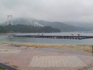 DSCN4571
