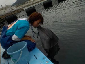 DSCN4593
