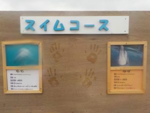 DSCN4604