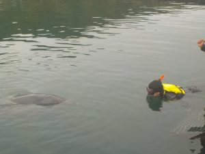 DSCN4750