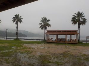 DSCN4759