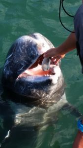 16-11-01-14-42-07-781_deco