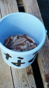 16-11-01-14-43-43-314_deco