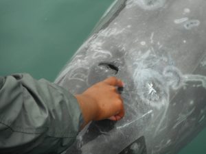 dscn0299
