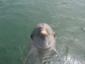 IMG_1876
