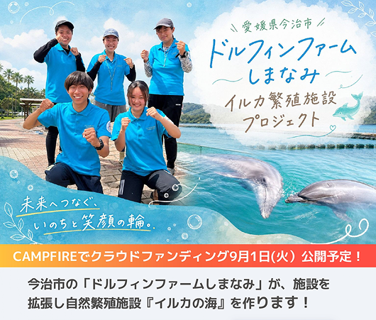 説明テキスト